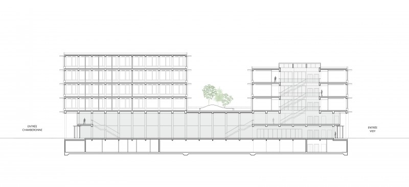 B2A 039 - UNIL bâtiment pour les Sciences Humaines coupe-longitudinale