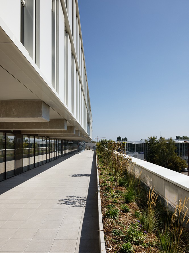 B2A 014 - Lycée international 4b7a3323