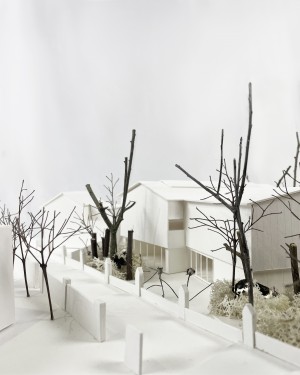 B2A 065 - Pôle intergénérationnel Meudon