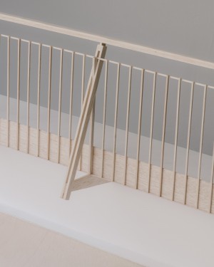 B2A 029 - Pont du Moulin Apparent Poitiers