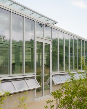 B2A 069 - Serre des Fuchsias Le Chesnay-Rocquencourt