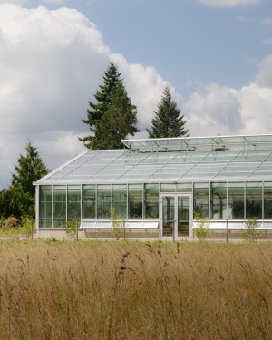 B2A 069 - Serre des Fuchsias Le Chesnay-Rocquencourt