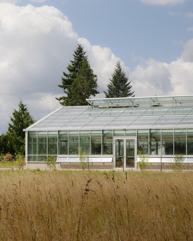 B2A 069 - Serre des Fuchsias img_0558