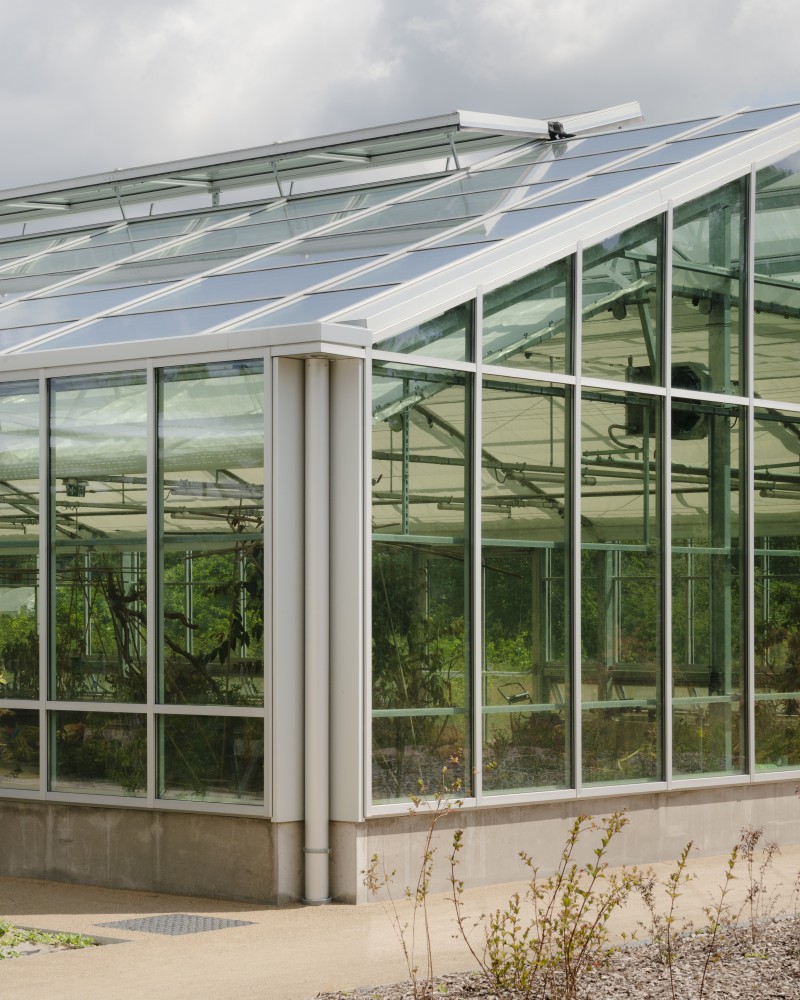 B2A 069 - Serre des Fuchsias img_20240917_105711